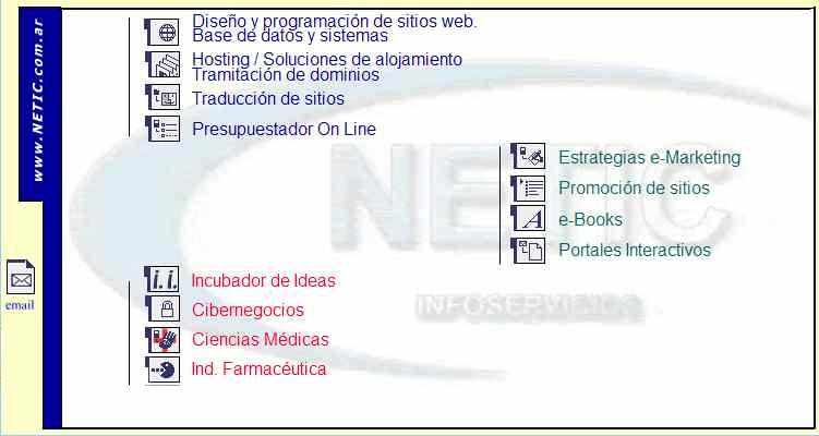 Servicios de Internet Marketing Provistos por Netic Infoservicios